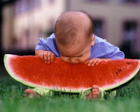 O que é a anorexia fisiológica do 2º ano?