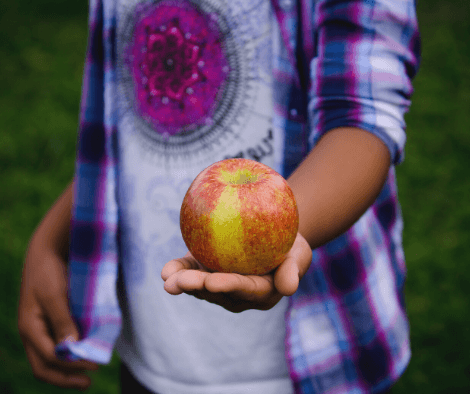 A fruta é um bom lanche?