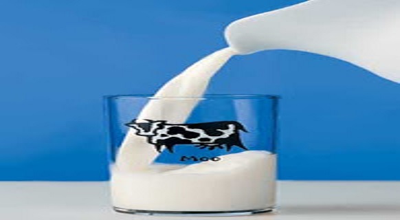 A partir de que idade é que as crianças podem beber leite de vaca?