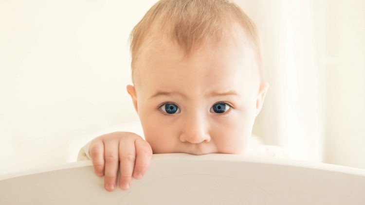 Quem é o bebé de necessidades intensas?