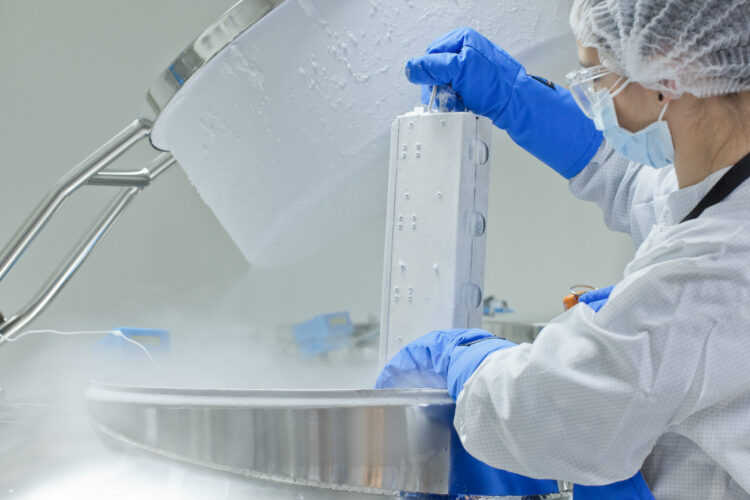 10 FACTOS CIENTÍFICOS SOBRE CÉLULAS ESTAMINAIS DO SANGUE DO CORDÃO UMBILICAL