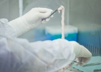 10 FACTOS CIENTÍFICOS SOBRE CÉLULAS ESTAMINAIS DO SANGUE DO CORDÃO UMBILICAL