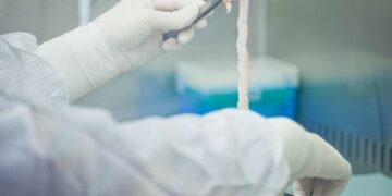 10 FACTOS CIENTÍFICOS SOBRE CÉLULAS ESTAMINAIS DO SANGUE DO CORDÃO UMBILICAL