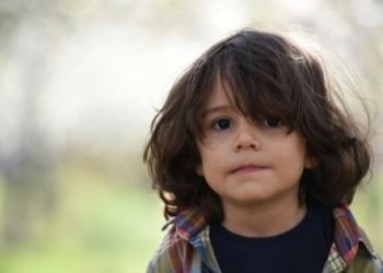 Piolhos – uma verdadeira “dor de cabeça”