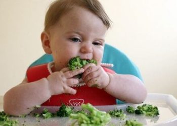 Os bebés podem comer alimentos sólidos antes de ter dentes?