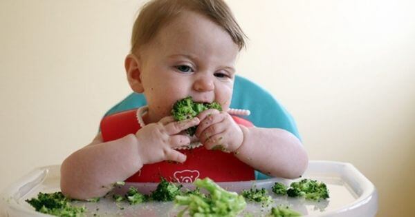 Os bebés podem comer alimentos sólidos antes de ter dentes?
