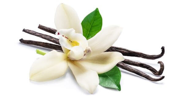 Baunilha – um sabor “perigoso”