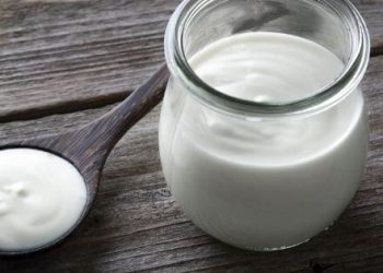 Quais os melhores iogurtes para bebés?