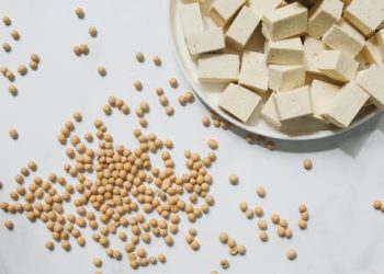 A partir de que idade é que os bebés podem começar a comer tofu?