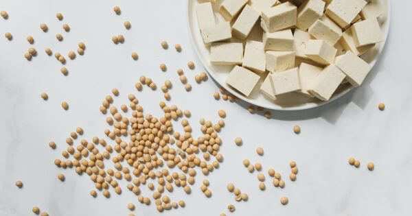 A partir de que idade é que os bebés podem começar a comer tofu?