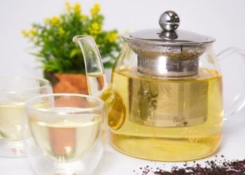 O meu bebé não quer beber água – posso dar chá?