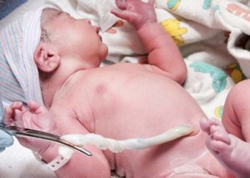O Dia Mundial do Sangue do Cordão Umbilical, um dia que pretende alertar para a importância desta fonte de Células Estaminais