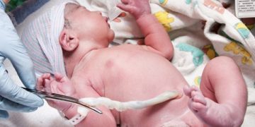 O Dia Mundial do Sangue do Cordão Umbilical, um dia que pretende alertar para a importância desta fonte de Células Estaminais