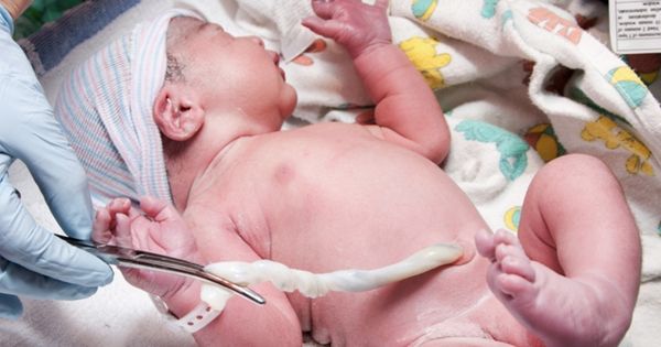 O Dia Mundial do Sangue do Cordão Umbilical, um dia que pretende alertar para a importância desta fonte de Células Estaminais