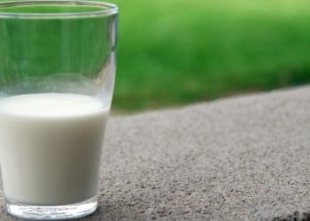 Algumas diferenças entre as fórmulas infantis e o leite de vaca