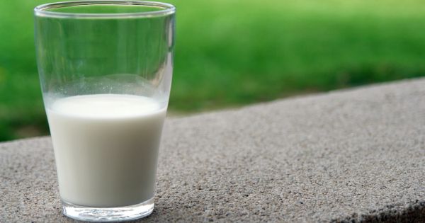 Algumas diferenças entre as fórmulas infantis e o leite de vaca