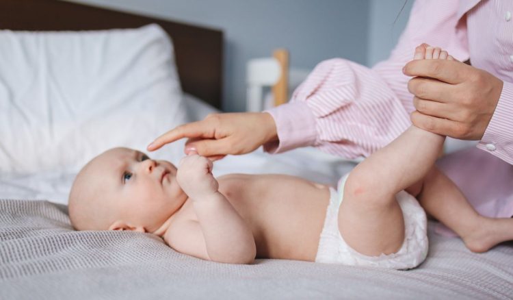 As fotografias dos cocós