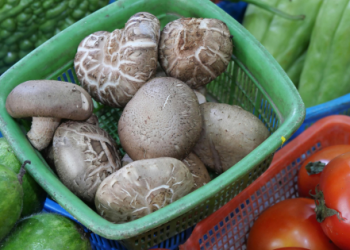As crianças e o sabor amargo