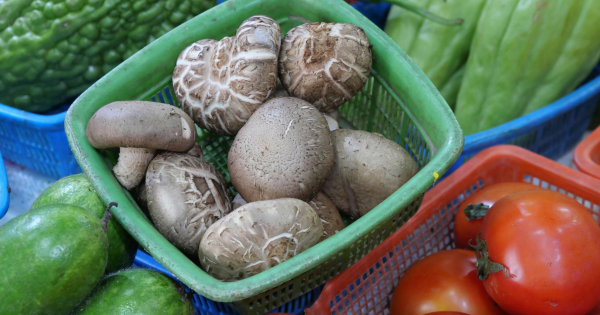 As crianças e o sabor amargo