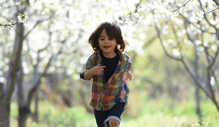 O sistema imunitário é um bem precioso