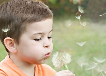 Que tipos de alergias existem?