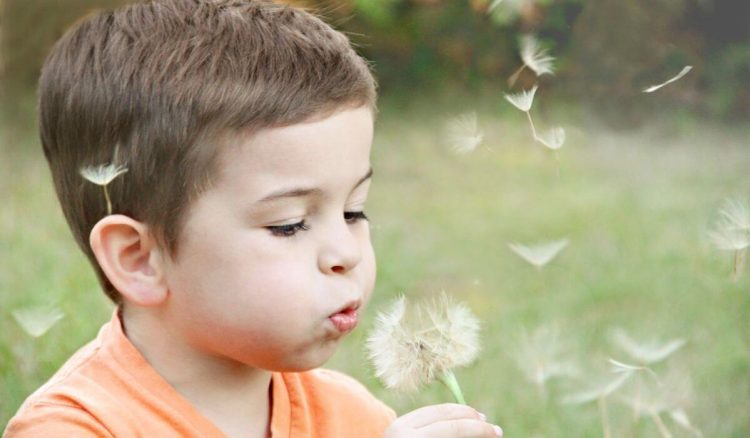 Que tipos de alergias existem?