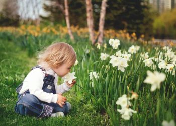 As funções “ocultas” do sistema imunitário