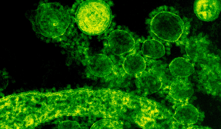 É errado dizer que as viroses “não são nada”