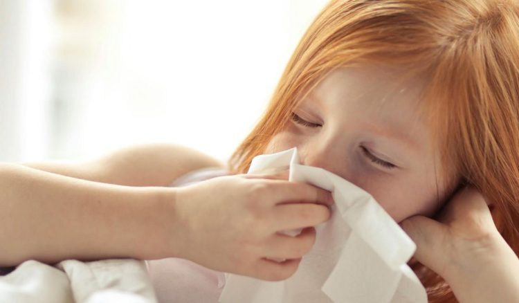 Deve-se dar primeiro paracetamol ou ibuprofeno para a febre?