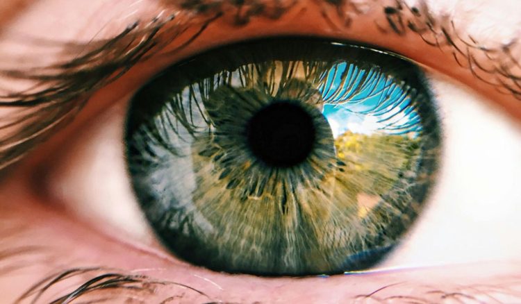 O que causa as conjuntivites?