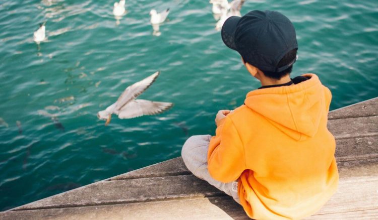 O que é uma encefalite?