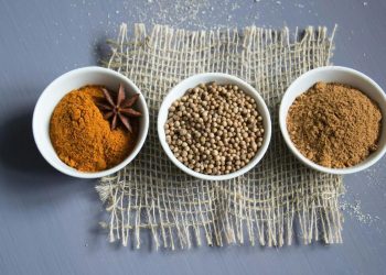 Os bebés podem comer especiarias?